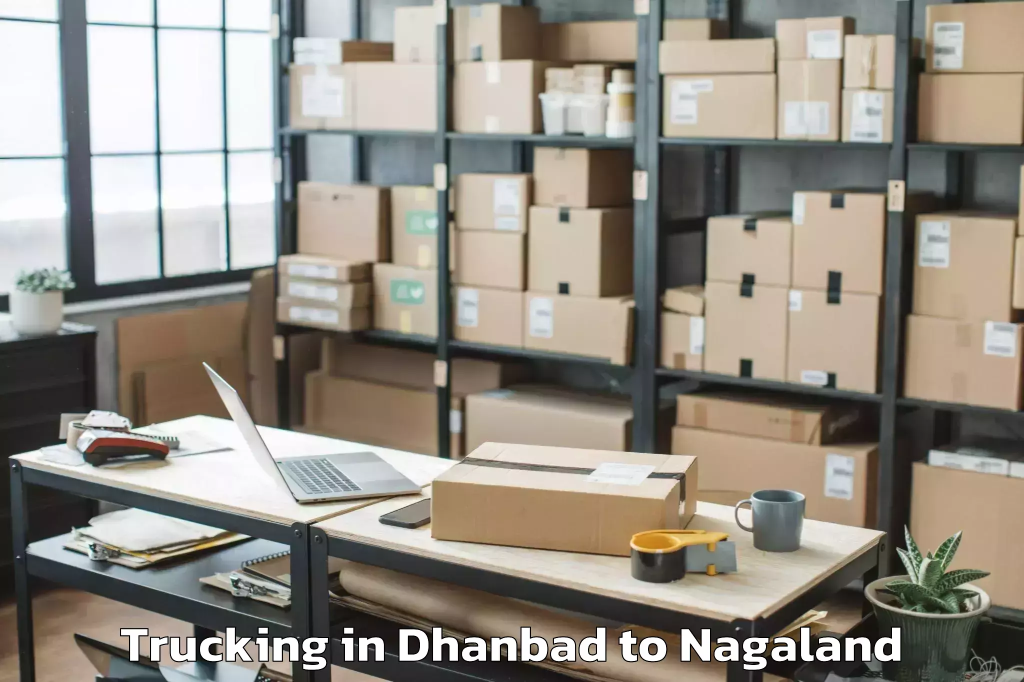 Trusted Dhanbad to Naginimora Trucking